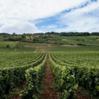 green grass field under white clouds during daytime